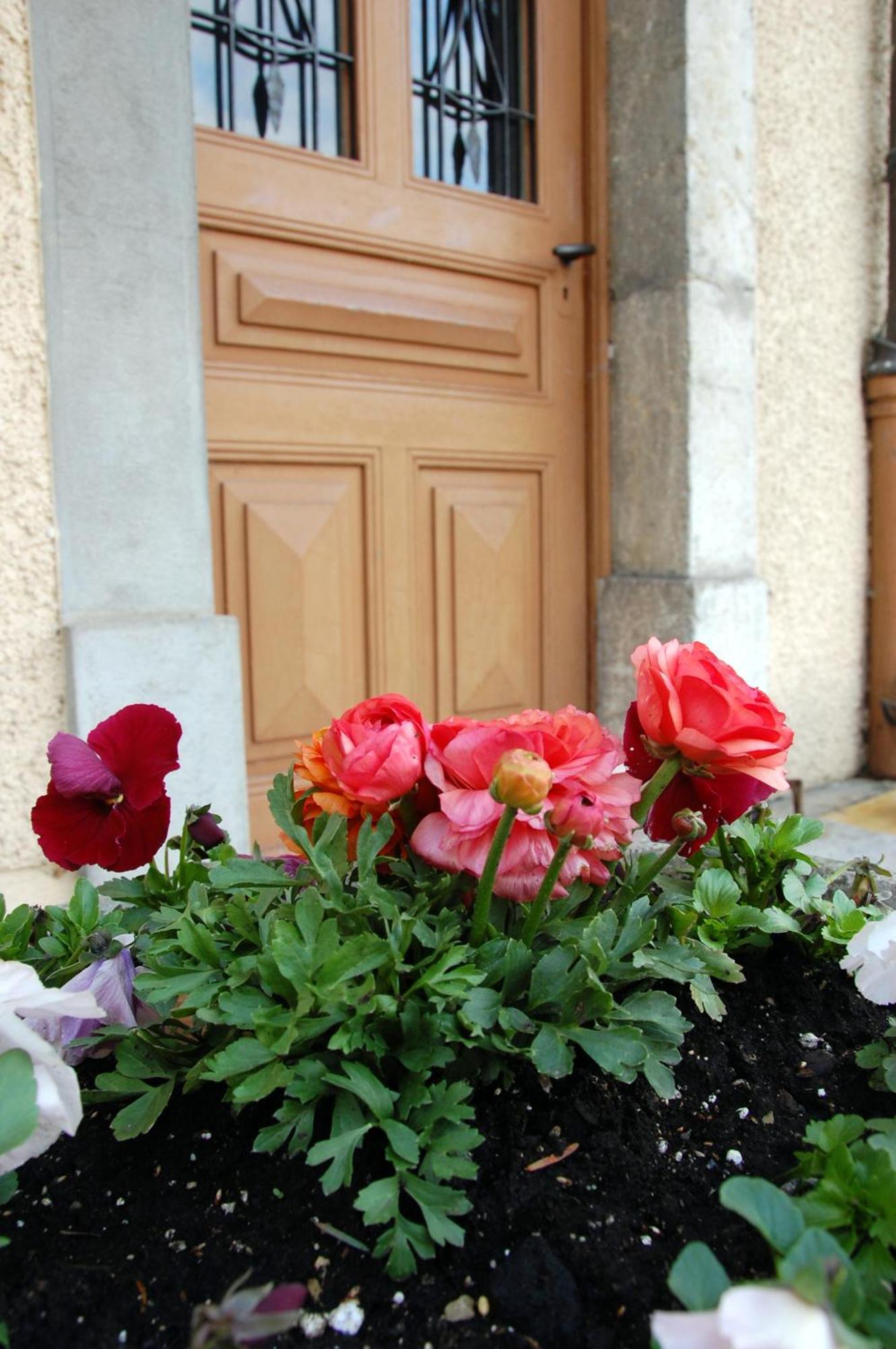 De L'ours Mini-hôtel